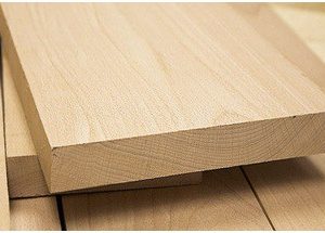 Bulk Buy BEECH Timber At The Lowest Price Online