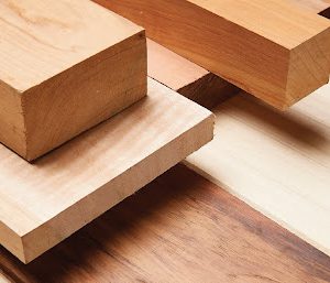Buy High-Quality Eucalyptus Timber Online at the Lowest Price