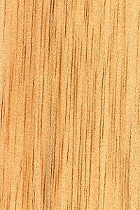 Ilomba Timber Buy Online at the Lowest Price with Worldwide Shipping